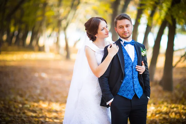 Fotografía de la boda es muy hermosa pareja —  Fotos de Stock