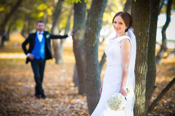Wedding photography is very beautiful couple — Stock Photo, Image
