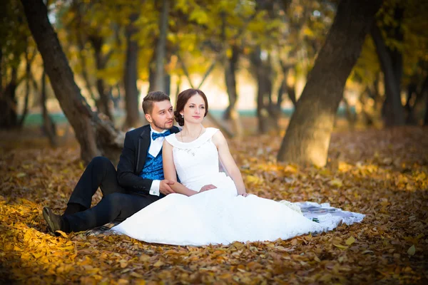 Bruiloft fotografie is zeer mooie paar — Stockfoto