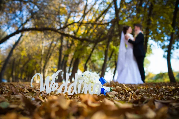 Bruiloft fotografie is zeer mooie paar — Stockfoto