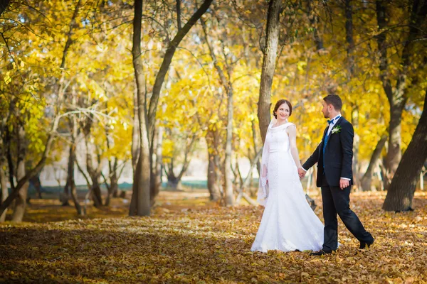 Fotografia ślubna to bardzo piękna para — Zdjęcie stockowe