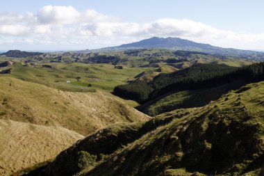 Yeni Zelanda sahne