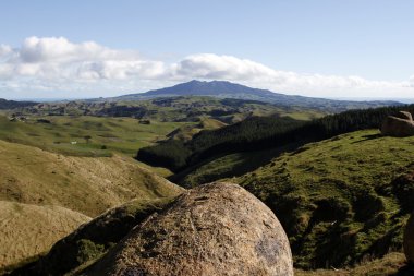 Yeni Zelanda manzara