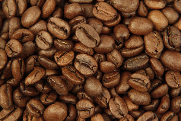 Roasted coffee beans