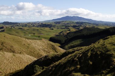 Yeni Zelanda manzara