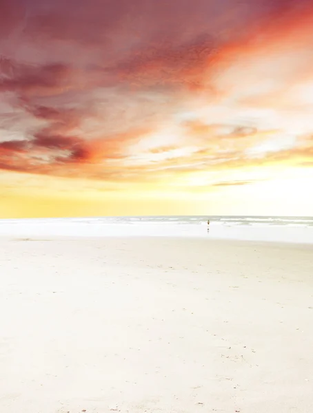 劇的なビーチの日の出 — ストック写真