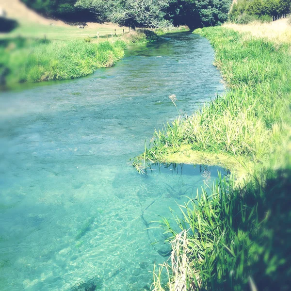 Spring water stream — Stock Photo, Image