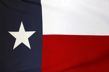 Texas bayrak