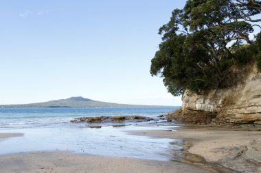 Auckland, Yeni Zelanda
