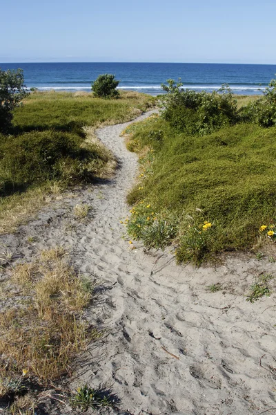 Paseo a la playa — Foto de Stock