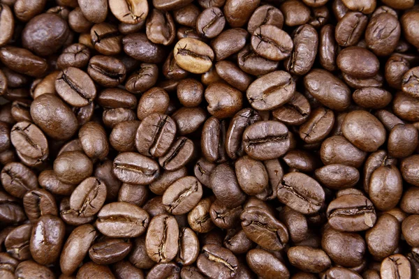 Φρυγμένοι κόκκοι καφέ — Φωτογραφία Αρχείου