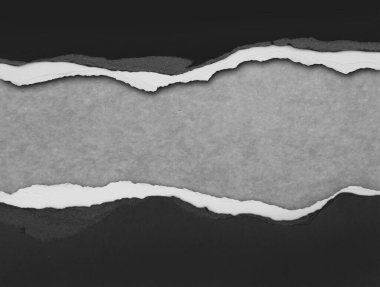 Gri arkaplan üzerinde yırtılmış kağıt, kopyalamak için boşluk