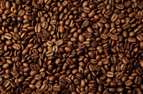 Close-up of roasted coffee beans