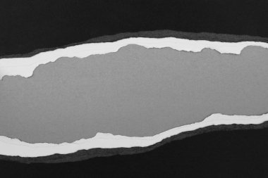 Gri arkaplan üzerinde yırtılmış kağıt, kopyalamak için boşluk