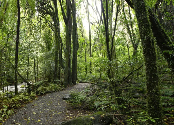 Walking trail — Stock Photo, Image