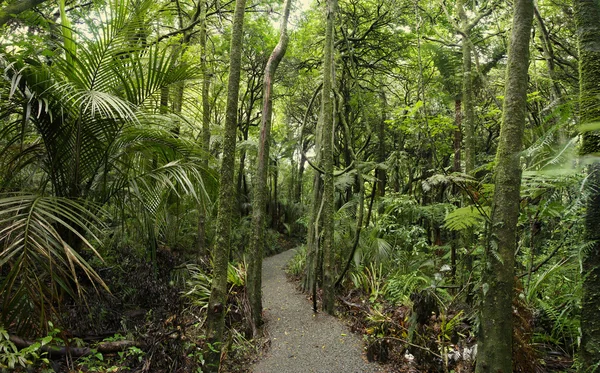 Trilha de caminhada — Fotografia de Stock