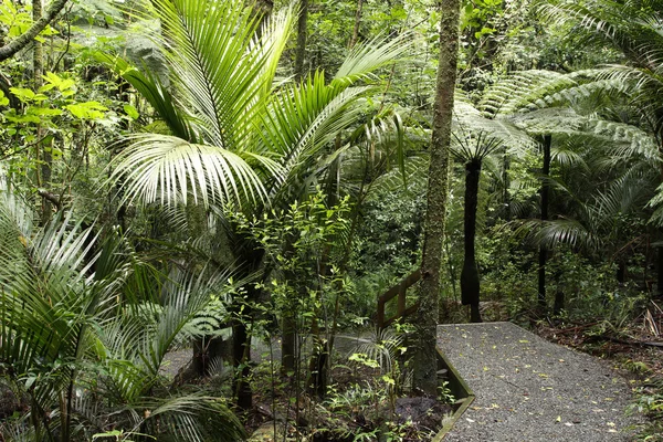 Walking trail — Stock Photo, Image