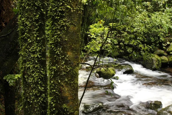 Akış — Stok fotoğraf