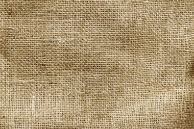 Kendir ehlileştirmek