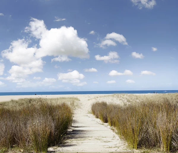 Sendero playa — Foto de Stock