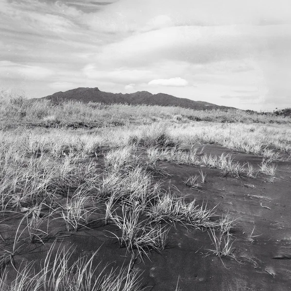 Mountain top — Stock Photo, Image