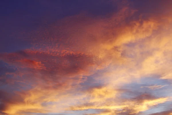 밝은 하늘 — 스톡 사진