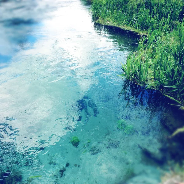 Spring water — Stock Photo, Image