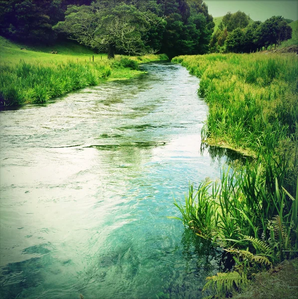 Acqua di sorgente — Foto Stock