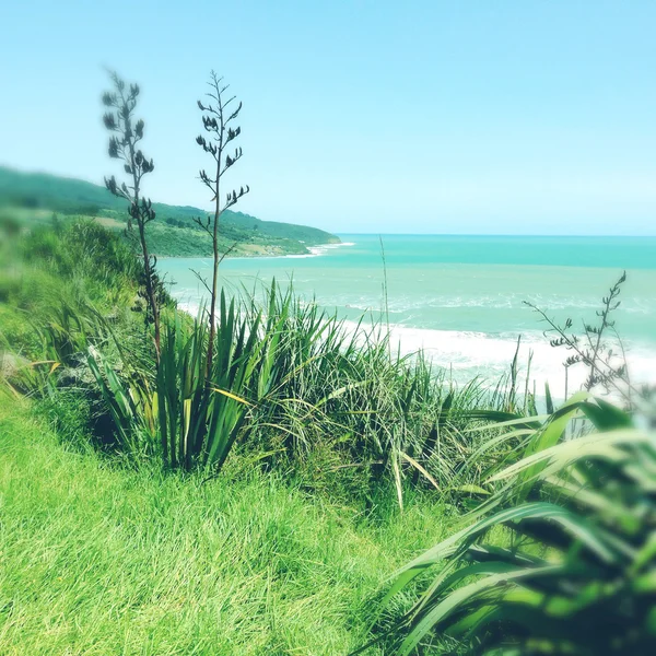 Praia — Fotografia de Stock