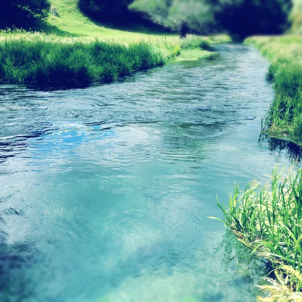 Родниковая вода — стоковое фото