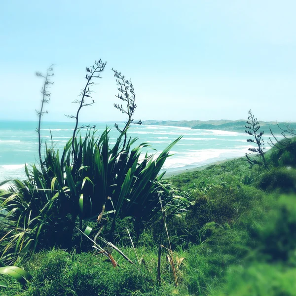 Praia — Fotografia de Stock