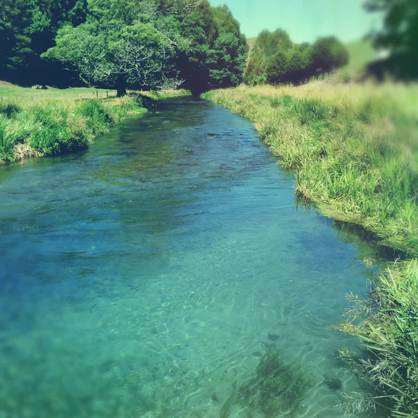 Acqua di sorgente — Foto Stock