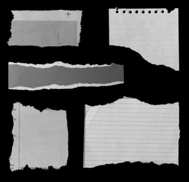 yırtık kağıtları 