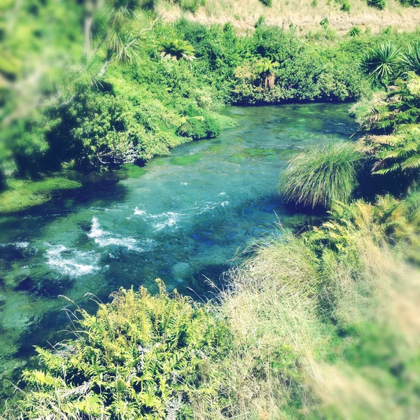 Spring water — Stock Photo, Image