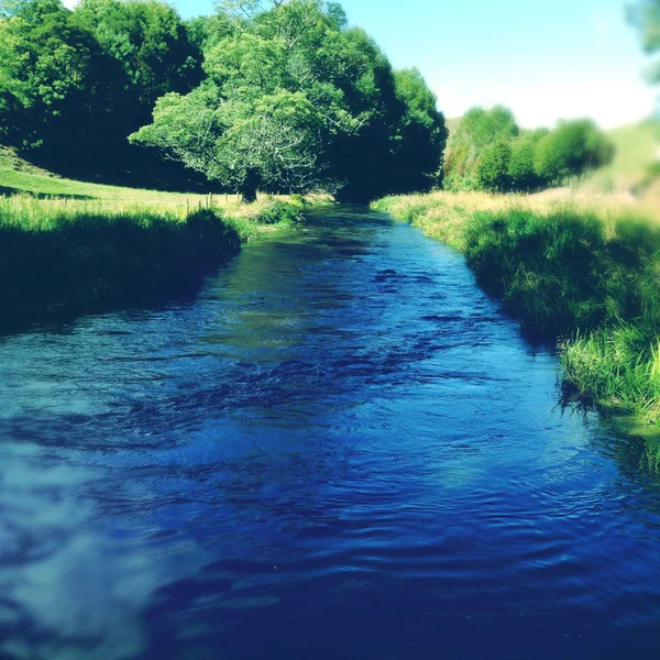 Родниковая вода — стоковое фото