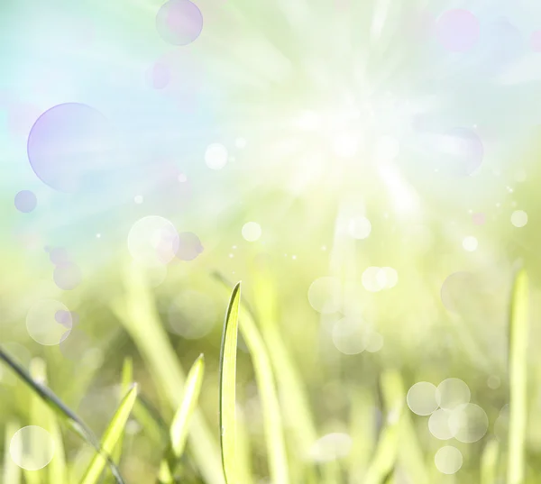 Spring background — Stock Photo, Image