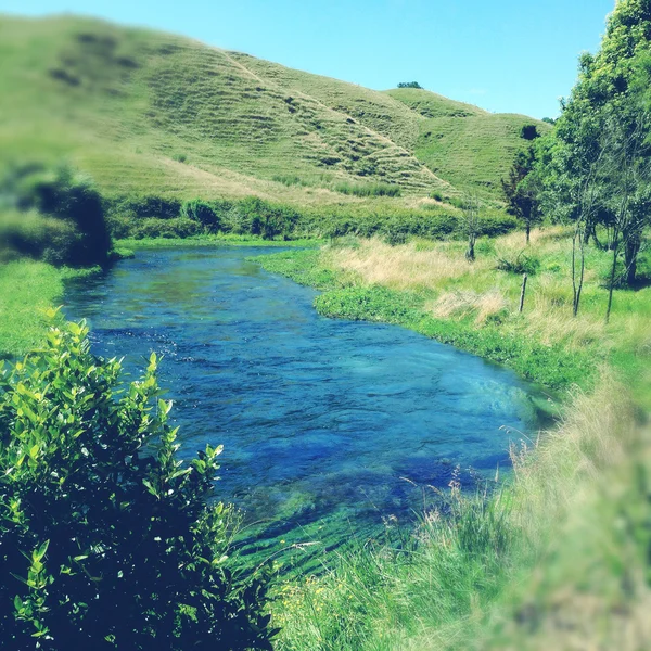 Spring water — Stock Photo, Image