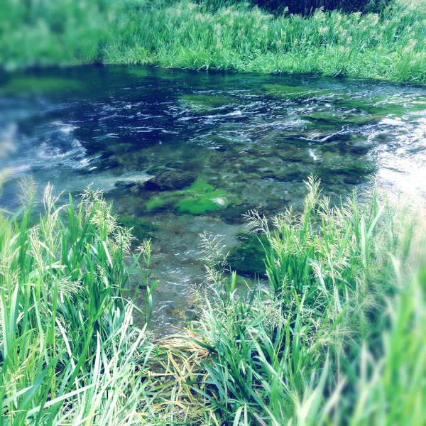 Acqua di sorgente — Foto Stock