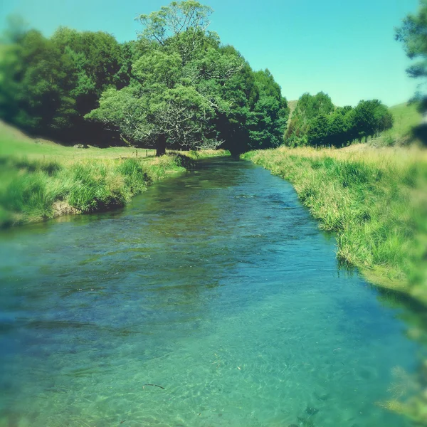 Acqua di sorgente — Foto Stock