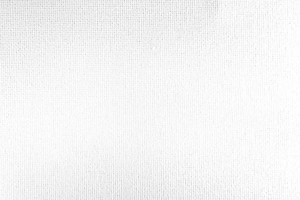 Blank canvas — Stock Photo, Image