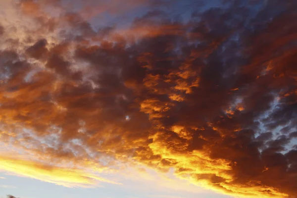 ท้องฟ้าฤดูร้อน — ภาพถ่ายสต็อก
