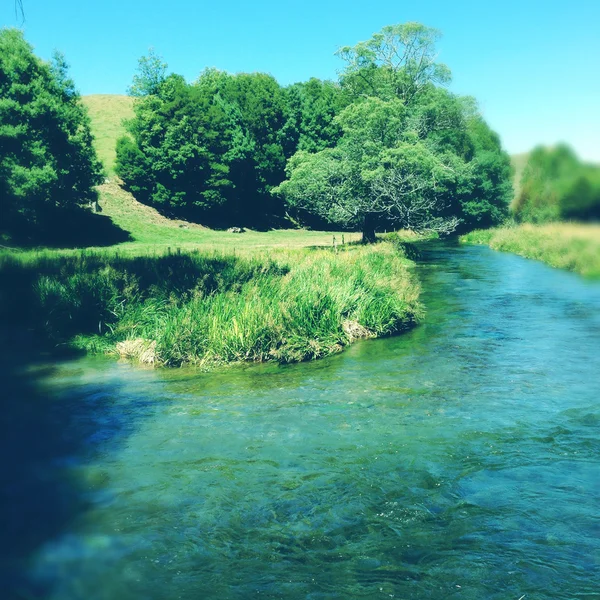 Acqua di sorgente — Foto Stock