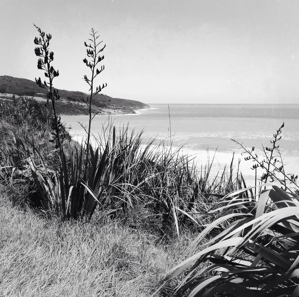 Playa — Foto de Stock