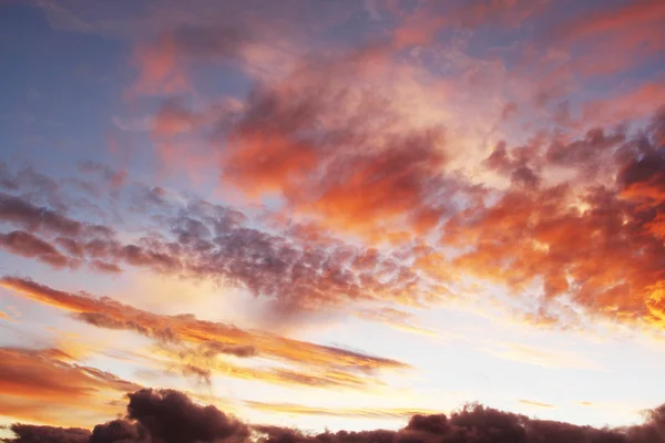 Ciel d'été — Photo