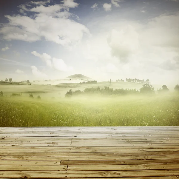 Mistige veld — Stockfoto