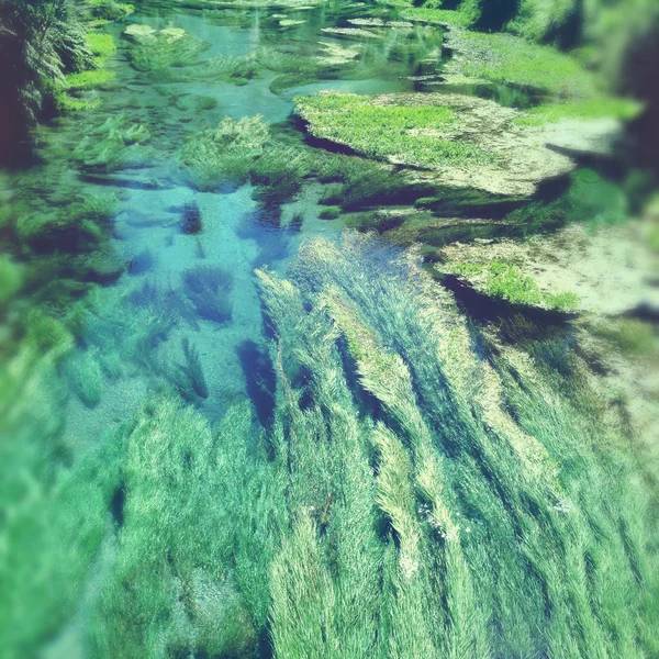 Acqua di sorgente — Foto Stock