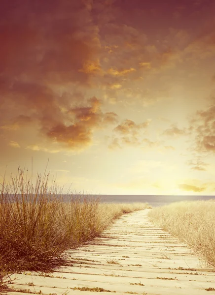 Beach — Stock Photo, Image