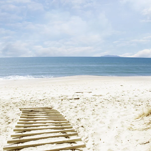 Sentiero sulla spiaggia — Foto Stock