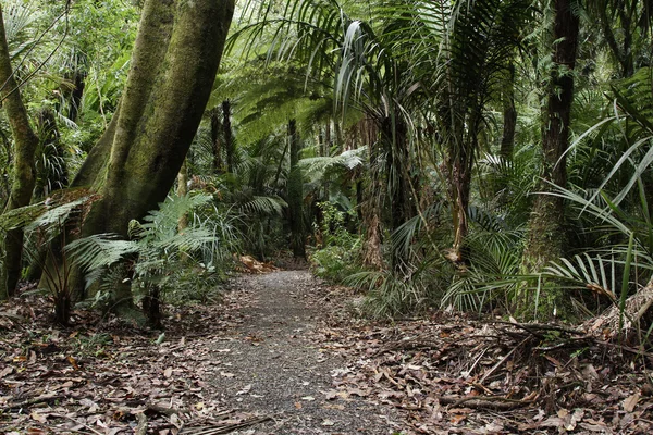 Walking trail — Stock Photo, Image