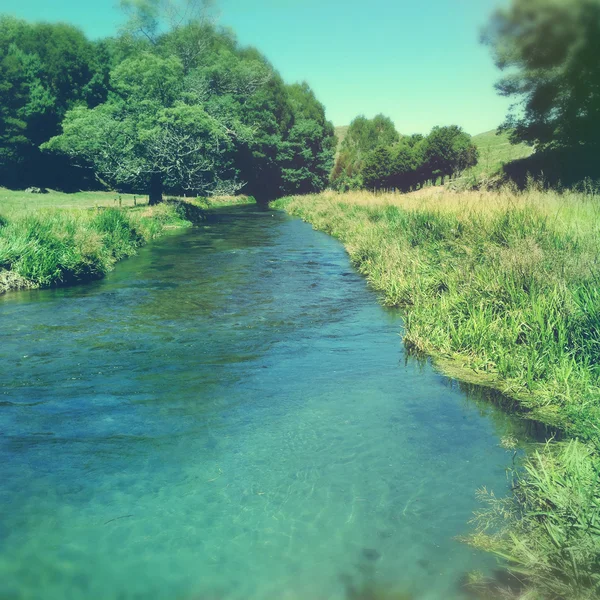 Acqua di sorgente — Foto Stock